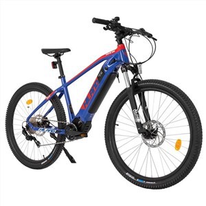Elektrisches Fat Mountain Bike