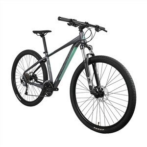 29er Aluminiumlegierung 6061 Mountainbike