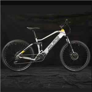 Elektrobetriebenes Mountainbike