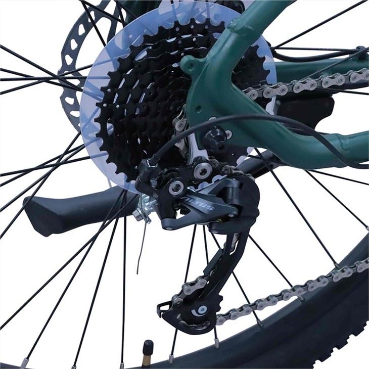 Customized Electric Mountain Bike
