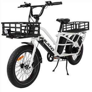 Kingkong Elektro-Lastenrad