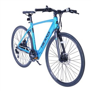 Haden Elektro-Hybridfahrrad