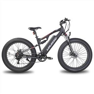 E-mtb Zweirädriges elektrisches Offroad-Mountainbike