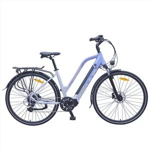 Cate Center Motor City E-Bike