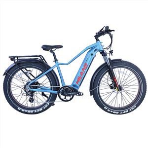 Entdecken Sie das elektrische Fatbike