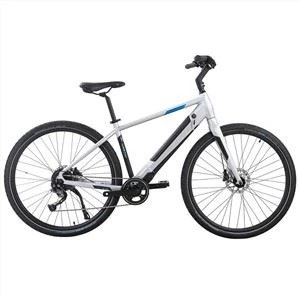 Silbernes, leichtes, integriertes City-E-Bike