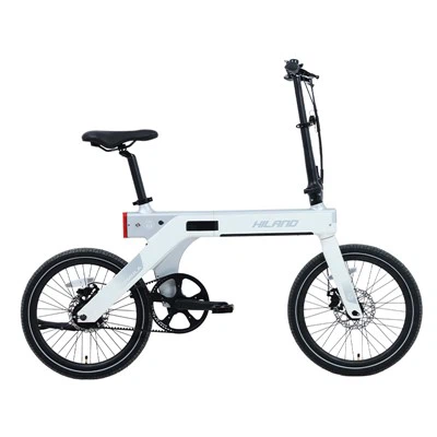 20" 36V 350W faltbares E-Bike aus Magnesiumlegierung