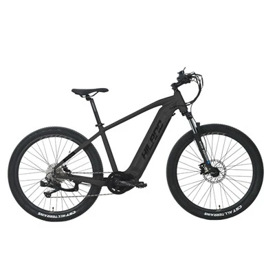 48 V 500 W Zentralmotor 10-Gang-MTB-E-Bike
