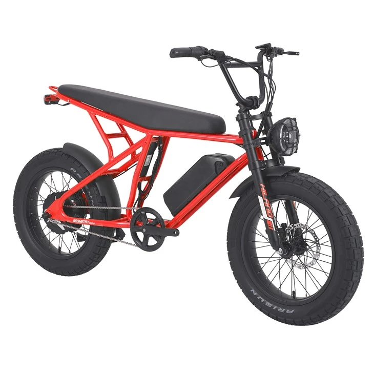 20"-Legierungs-Scheibenbremsen-Fat-E-Bike