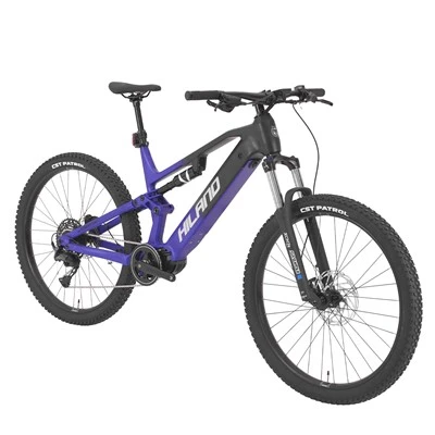 29" Alu-Rahmen E-MTB