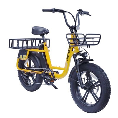 20" Legierung 48V 750W E-Bike
