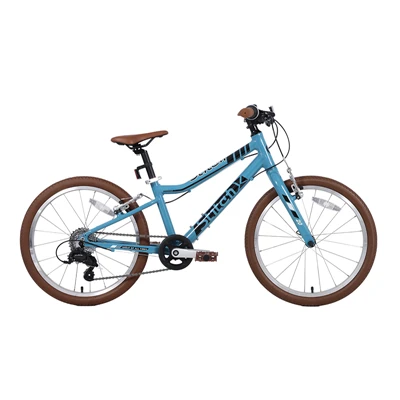 Bester Preis 20 -Zoll -Kinder Fahrrad Kinder Bergzyklus mit 7 Getriebegeschwindigkeit Kinder Fahrrad fahren Fahrrad